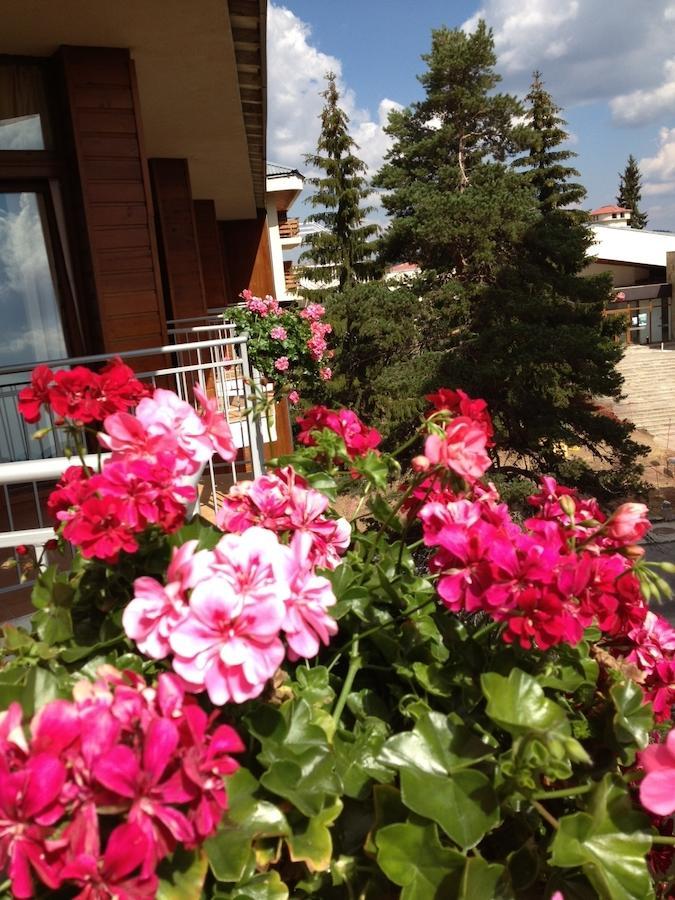 Dafovska Hotel Pamporovo Extérieur photo